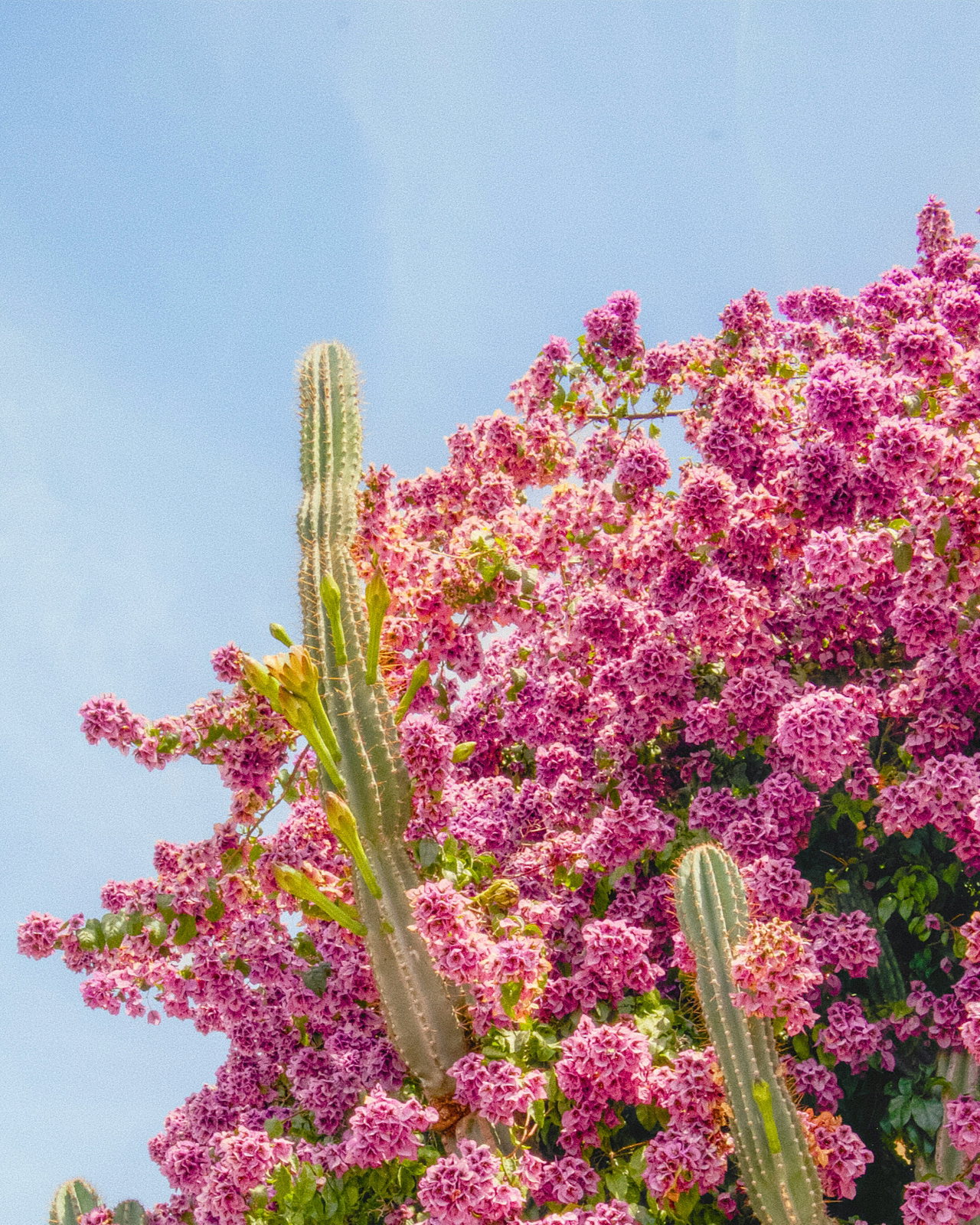 mexiko-v8RBboUddzQ-unsplash