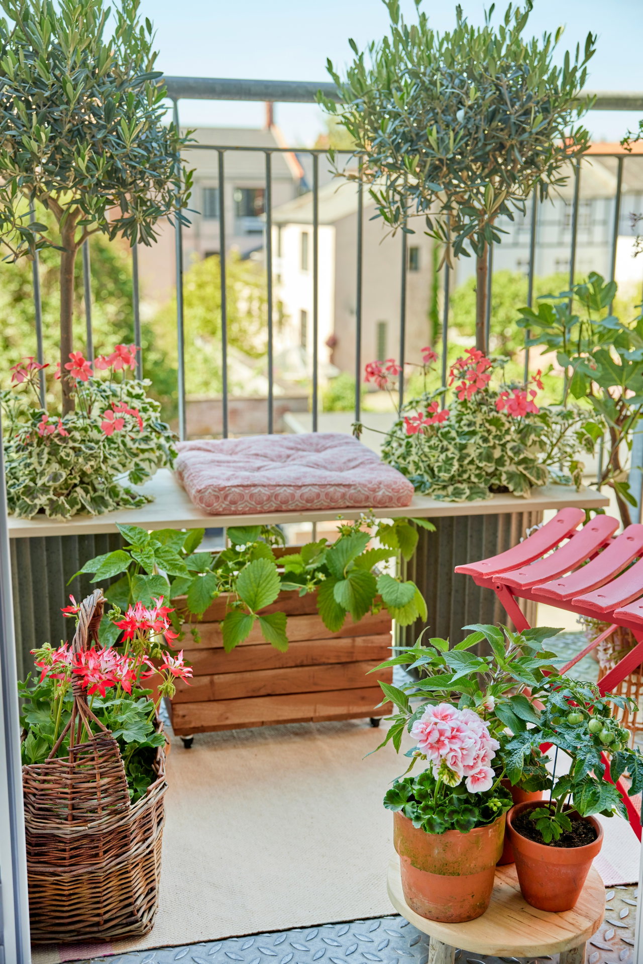 Dachterrasse mit Olivenbaum, Blumenkübeln und Holzmöbeln