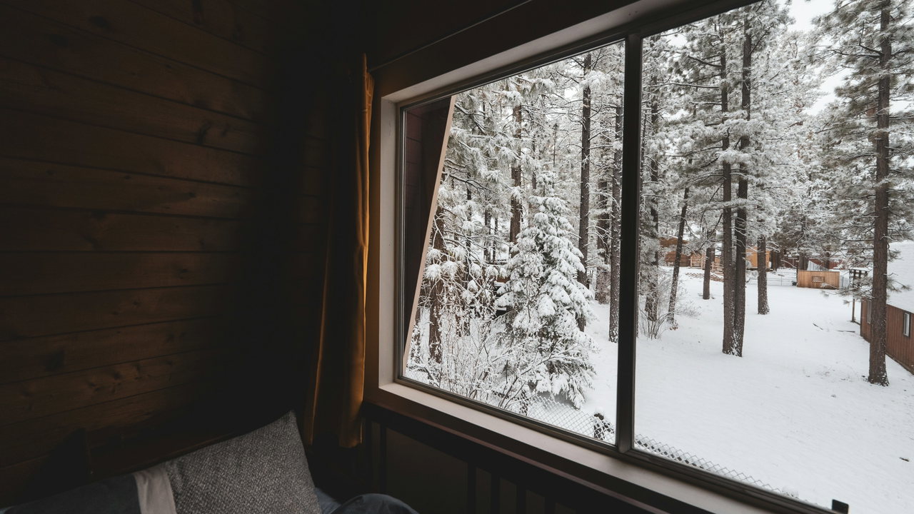 Holzsauna von innen mit großem Fenster und Blick auf verschneite Kiefern im Winterwald