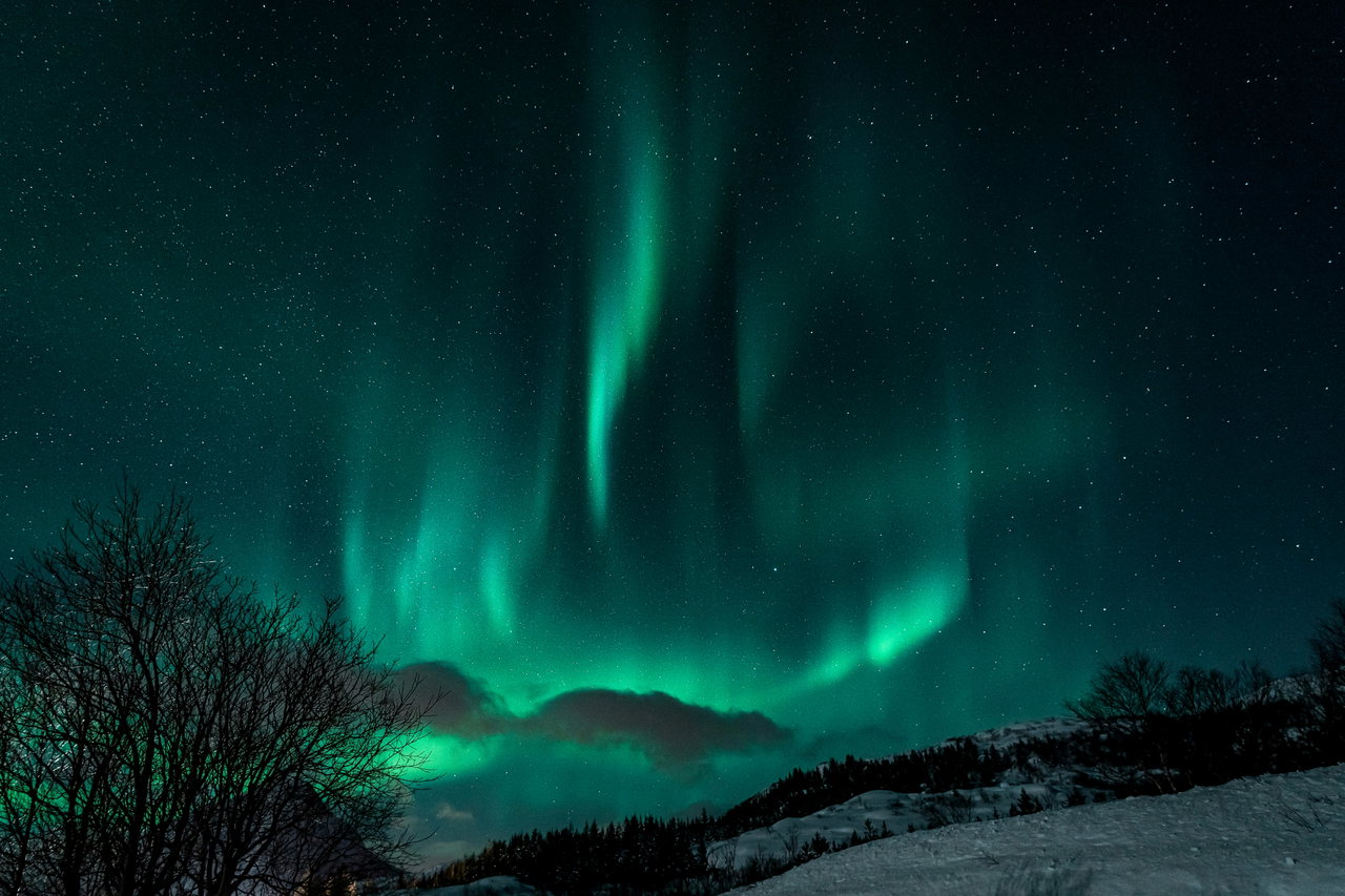 Nordlicht über einem Fjord
