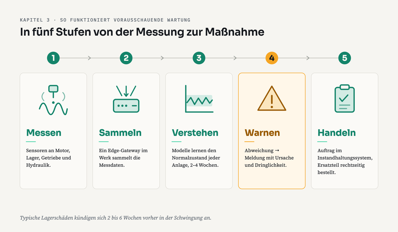 Fünf Stufen von der Messung zur Maßnahme: 1 Messen, Sensoren an Motor, Lager, Getriebe und Hydraulik. 2 Sammeln, ein Edge-Gateway im Werk sammelt die Messdaten. 3 Verstehen, Modelle lernen den Normalzustand jeder Anlage, 2–4 Wochen. 4 Warnen, Abweichung führt zu einer Meldung mit Ursache und Dringlichkeit. 5 Handeln, Auftrag im Instandhaltungssystem, Ersatzteil rechtzeitig bestellt.