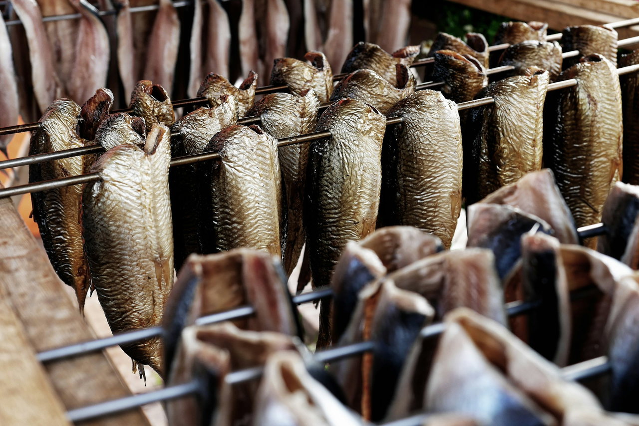 Goldbraun geräucherte Fische hängen an Metallspießen dicht nebeneinander auf einem hölzernen Räuchergestell
