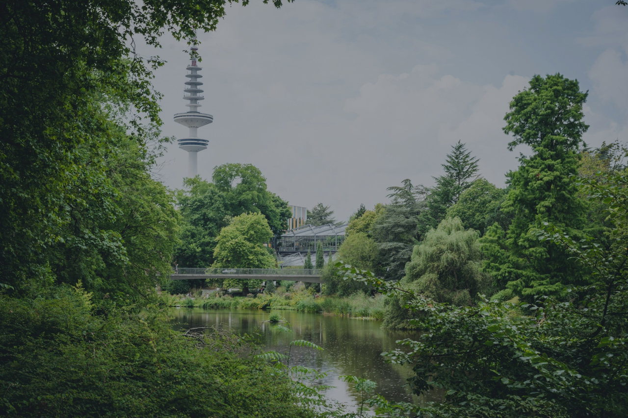 Teich mit Bäumen in Planten un Blomen, im Hintergrund der Fernsehturm