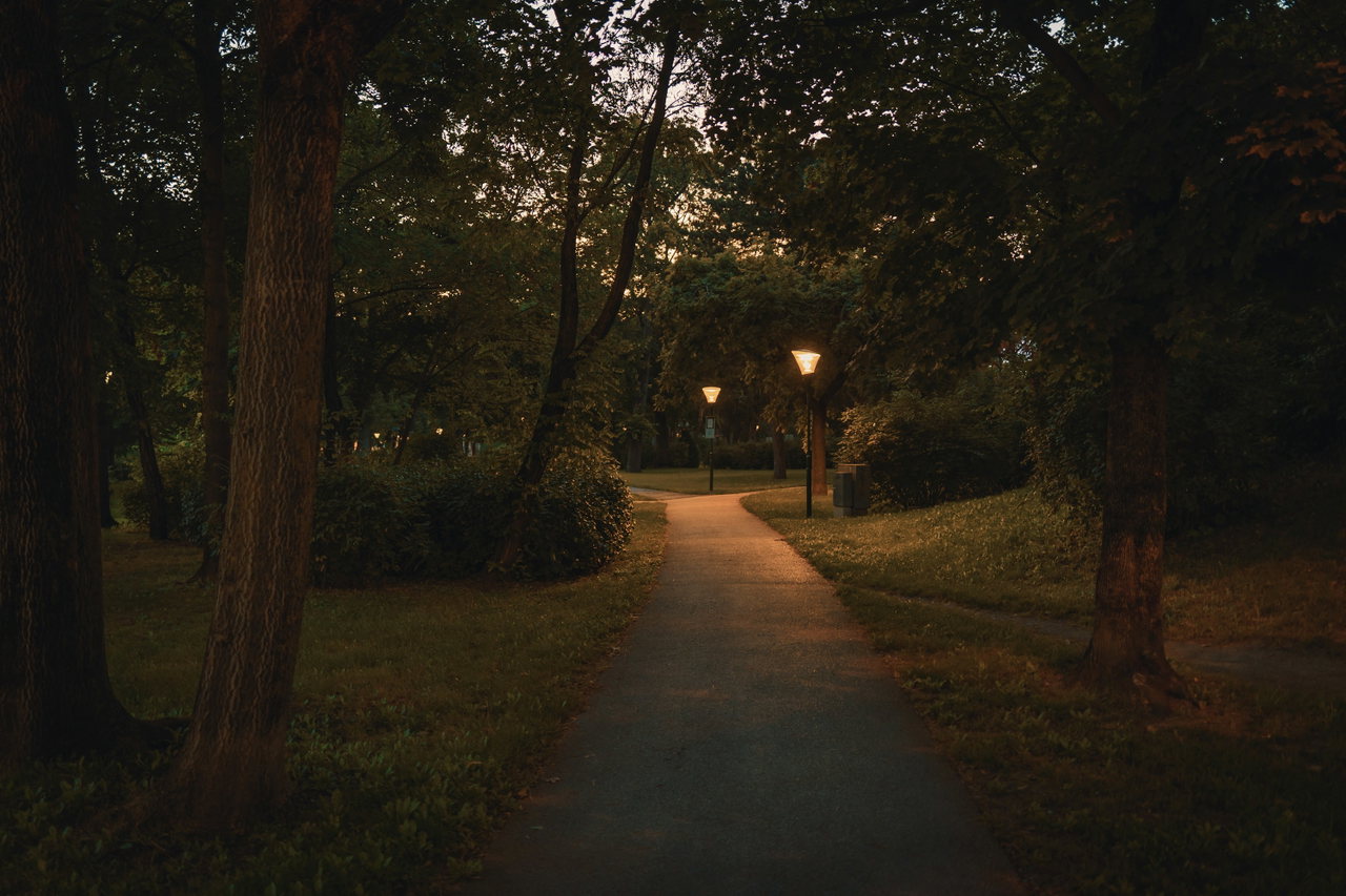 Parkweg bei Nacht zwischen Bäumen, im Hintergrund warm leuchtende Wegeleuchten