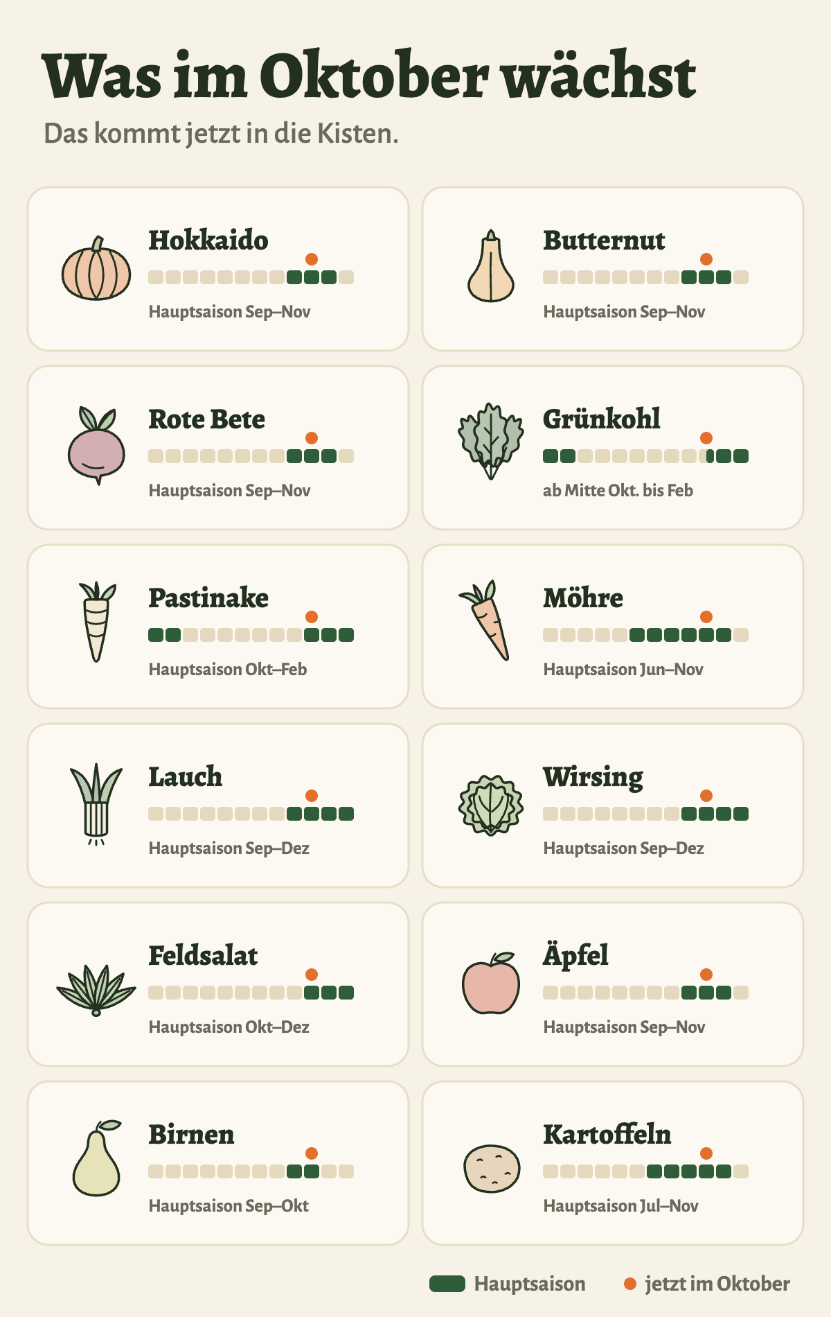 Saisonkalender „Was im Oktober wächst“ mit zwölf gezeichneten Icons und Saisonbalken: Hokkaido, Butternut und Rote Bete: Hauptsaison September bis November. Grünkohl: ab Mitte Oktober bis Februar. Pastinake: Oktober bis Februar. Möhre: Juni bis November. Lauch und Wirsing: September bis Dezember. Feldsalat: Oktober bis Dezember. Äpfel: September bis November. Birnen: September bis Oktober. Kartoffeln: Juli bis November.