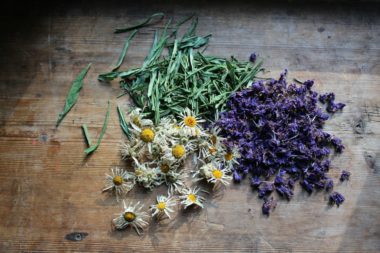 Getrocknete Kräuter, Kamillenblüten und Lavendel auf einem rustikalen Holztisch ausgebreitet
