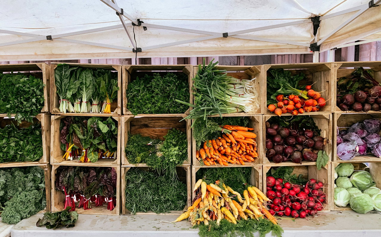 Marktstand unter weißem Zeltdach mit Holzkisten voller Möhren, Roter Bete, Radieschen, Mangold und Kohl.