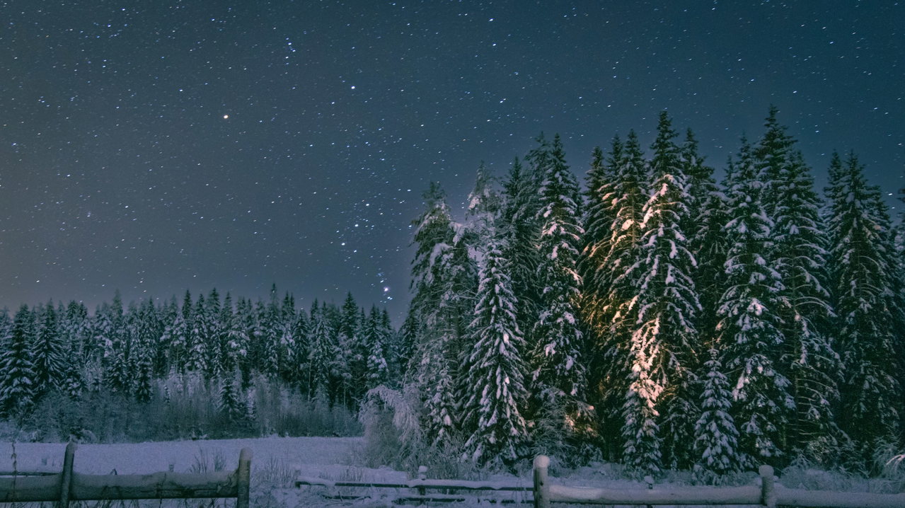 Sternenhimmel über verschneitem Tannenwald, ein warmes Licht schimmert zwischen den Bäumen