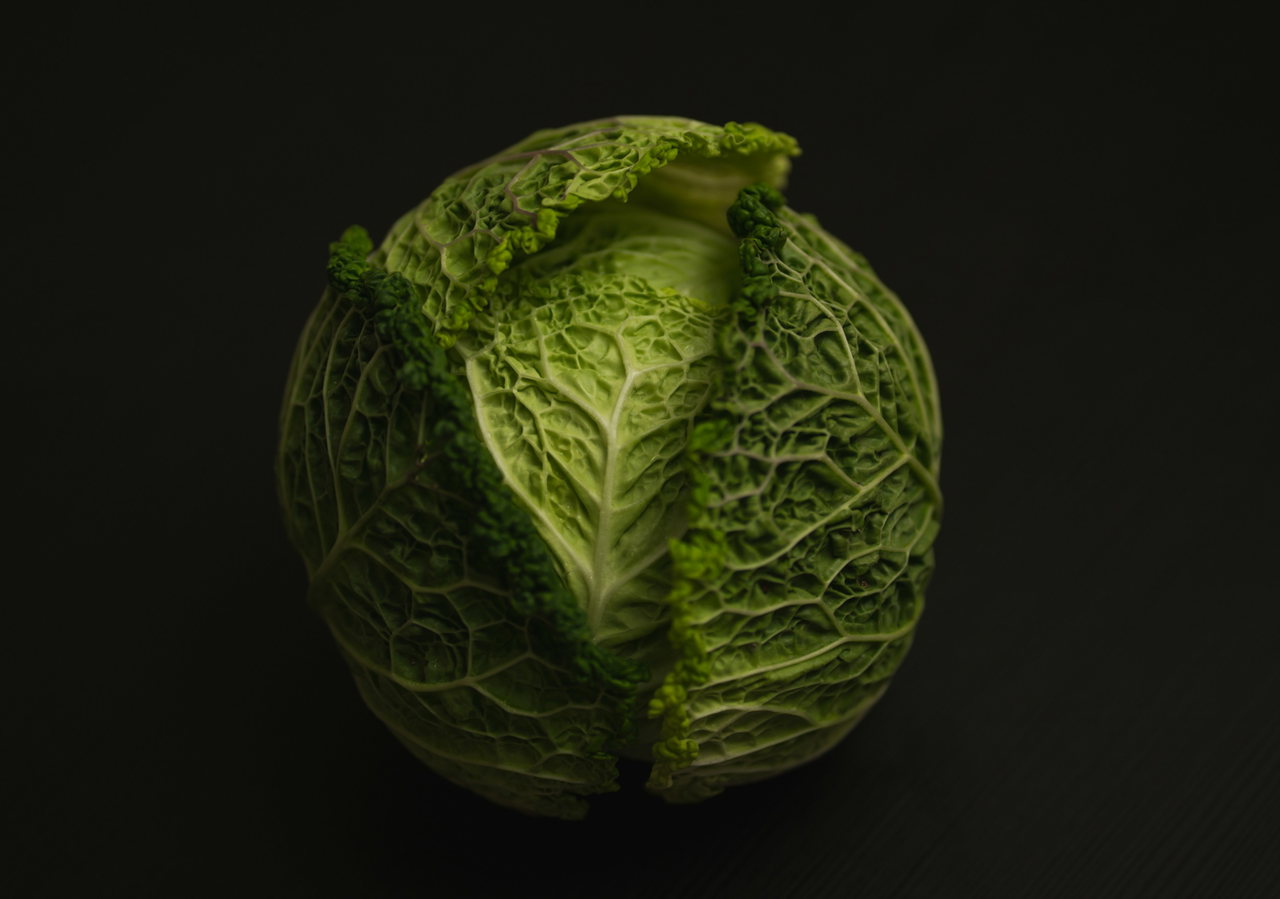 Ein Wirsingkohl mit stark gekrausten grünen Blättern vor dunklem Hintergrund