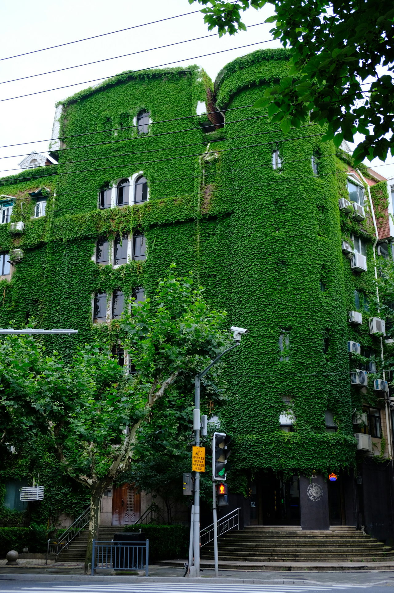 Ein mehrstöckiges Haus, dessen Fassade vollständig mit Efeu bewachsen ist