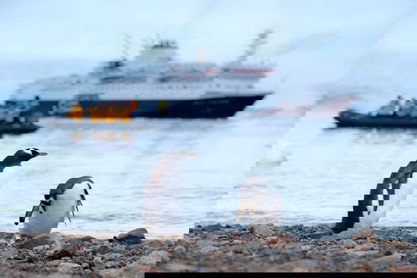 antarctica--Eu3Iud63rA-unsplash