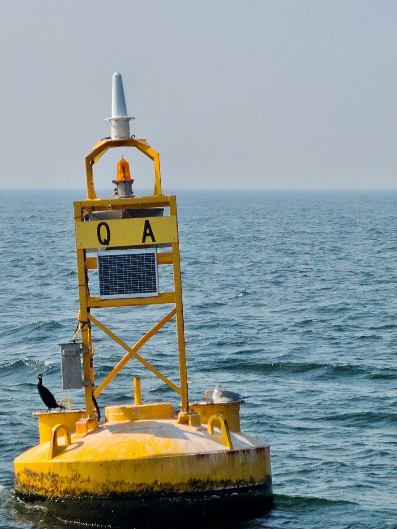 Yellow measuring buoy with a solar panel and sensors floats on calm water