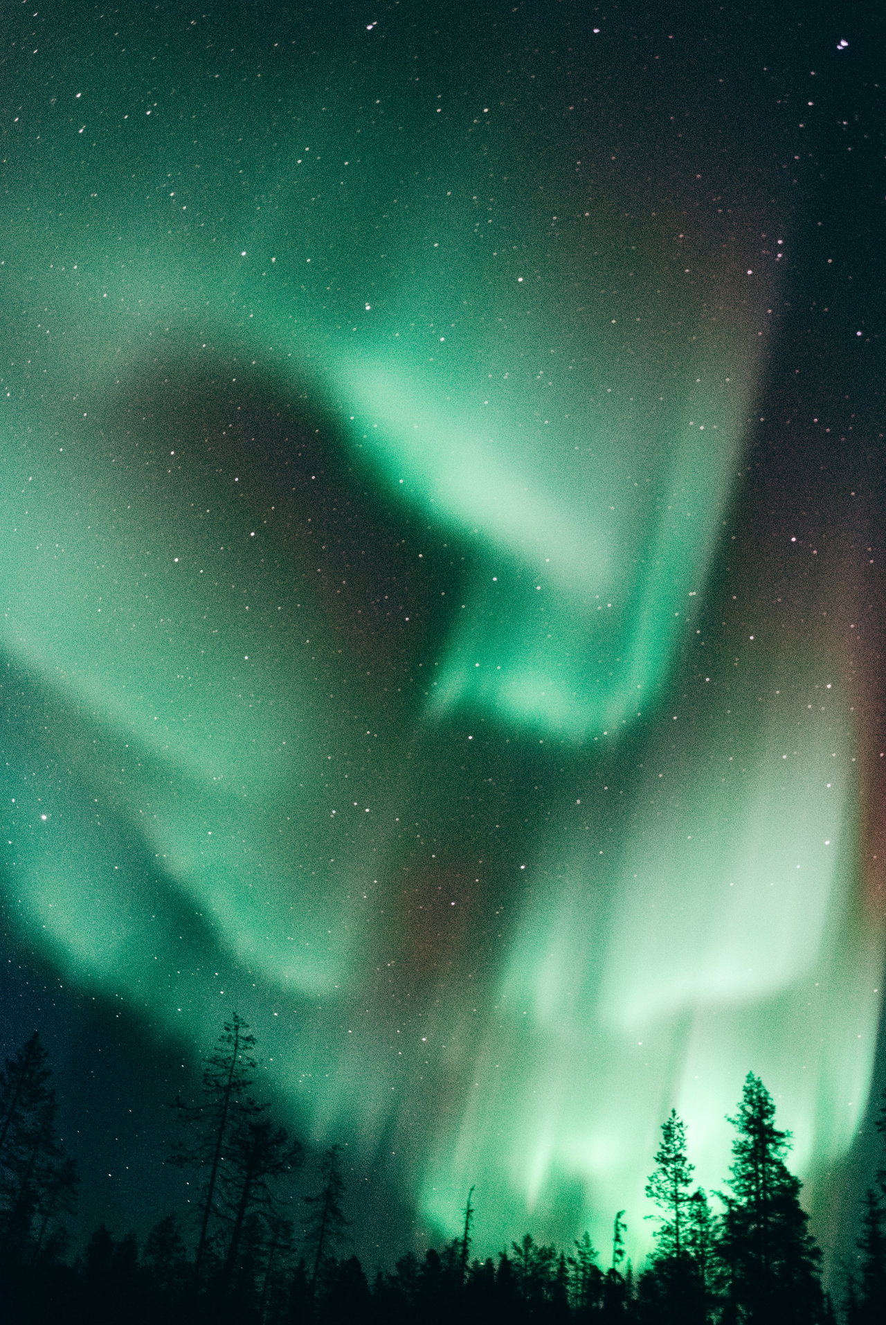 Polarlicht in Grün und Violett