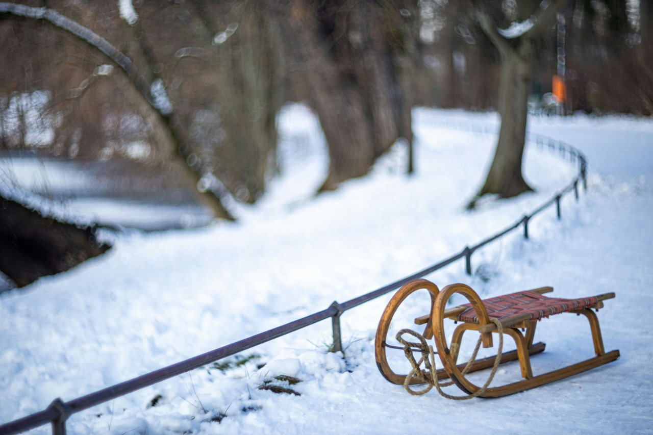Hölzerner Schlitten steht auf einer verschneiten Rodelbahn zwischen kahlen Bäumen entlang eines Geländers
