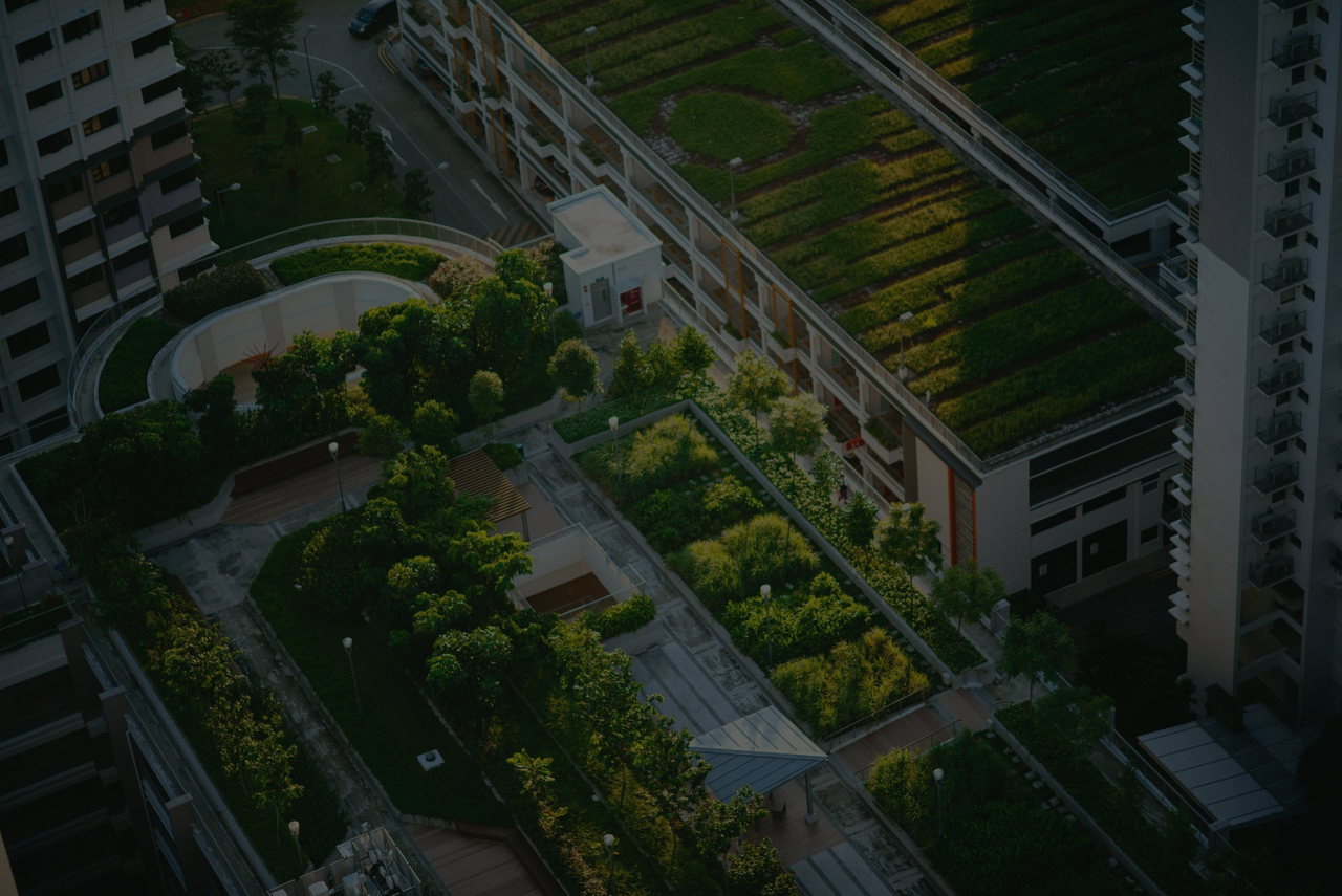 Luftaufnahme von Hochhäusern mit begrünten Dachterrassen und Gemüsebeeten
