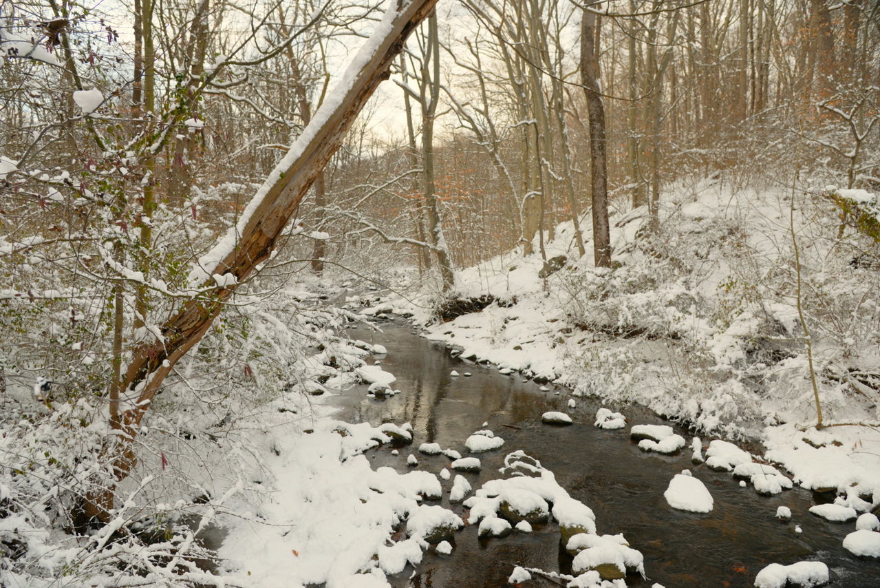 Bachlauf im verschneiten Laubwald, Schnee und Eis an den Ufern, umgestürzter Baumstamm