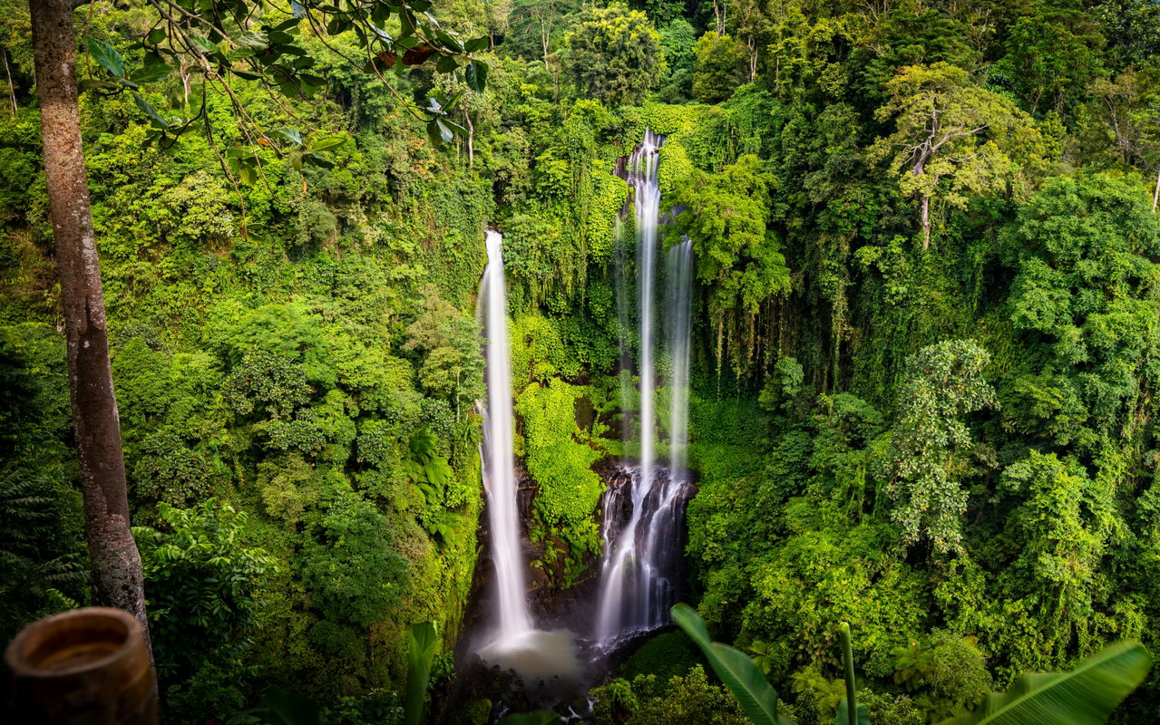 Wasserfall stürzt durch tropisches Grün
