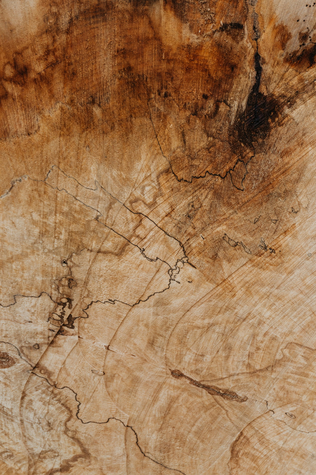 oak wood grain texture close up-HYZLZYJfkIk-unsplash