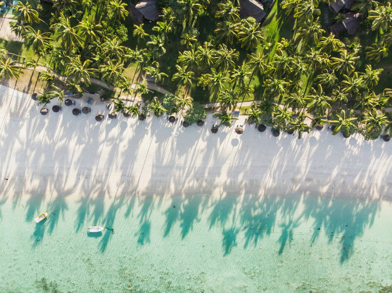 Luftaufnahme eines Strands mit Palmen und türkisem Wasser