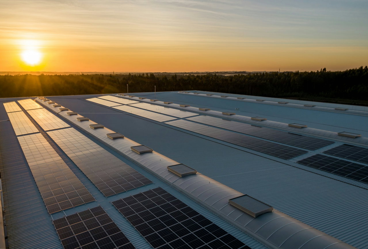 Große Dachfläche mit Photovoltaikmodulen im warmen Abendlicht, am Horizont geht die Sonne unter