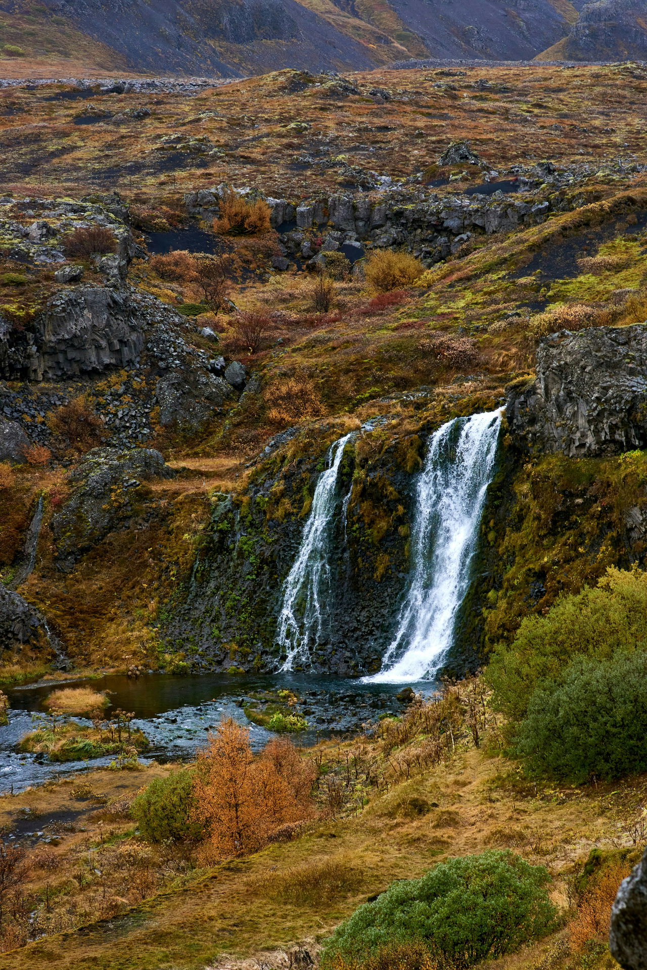 Ein zweiarmiger Wasserfall zwischen herbstlich gefärbtem Moos und Sträuchern
