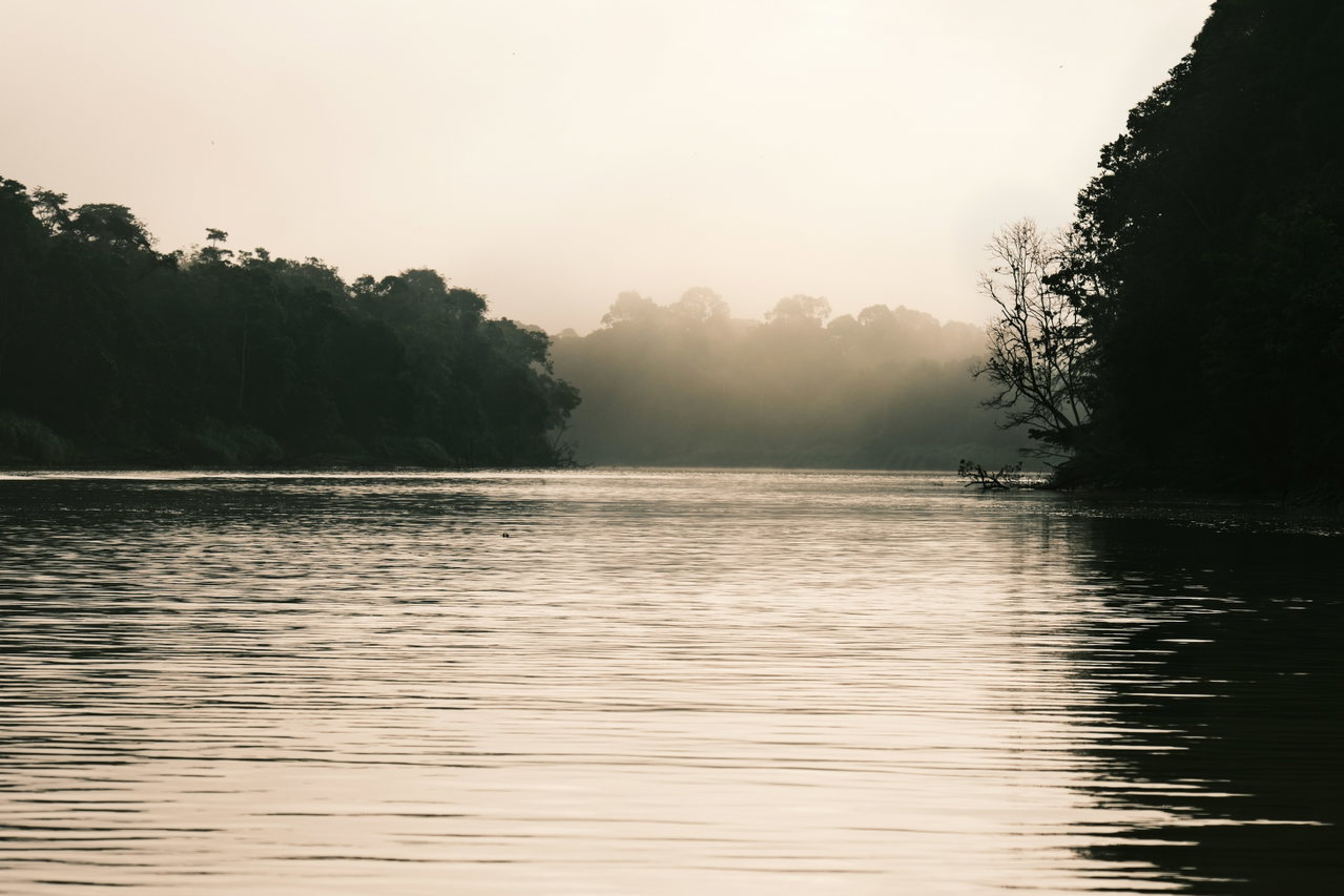 Nebel über einem Fluss im Regenwald bei Sonnenaufgang