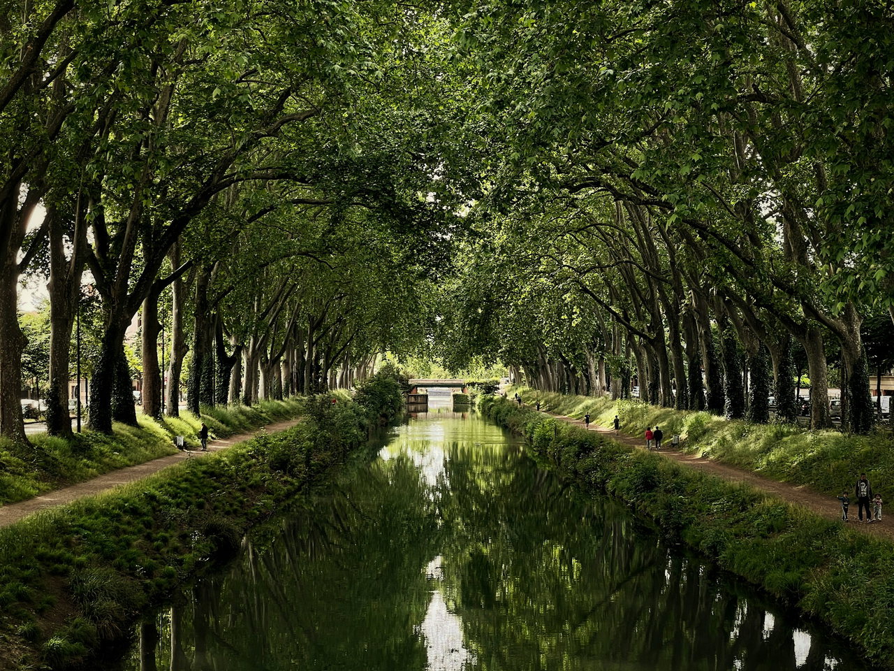 Von Platanen überdachter Kanal mit Uferwegen auf beiden Seiten, auf denen einige Spaziergänger unterwegs sind.
