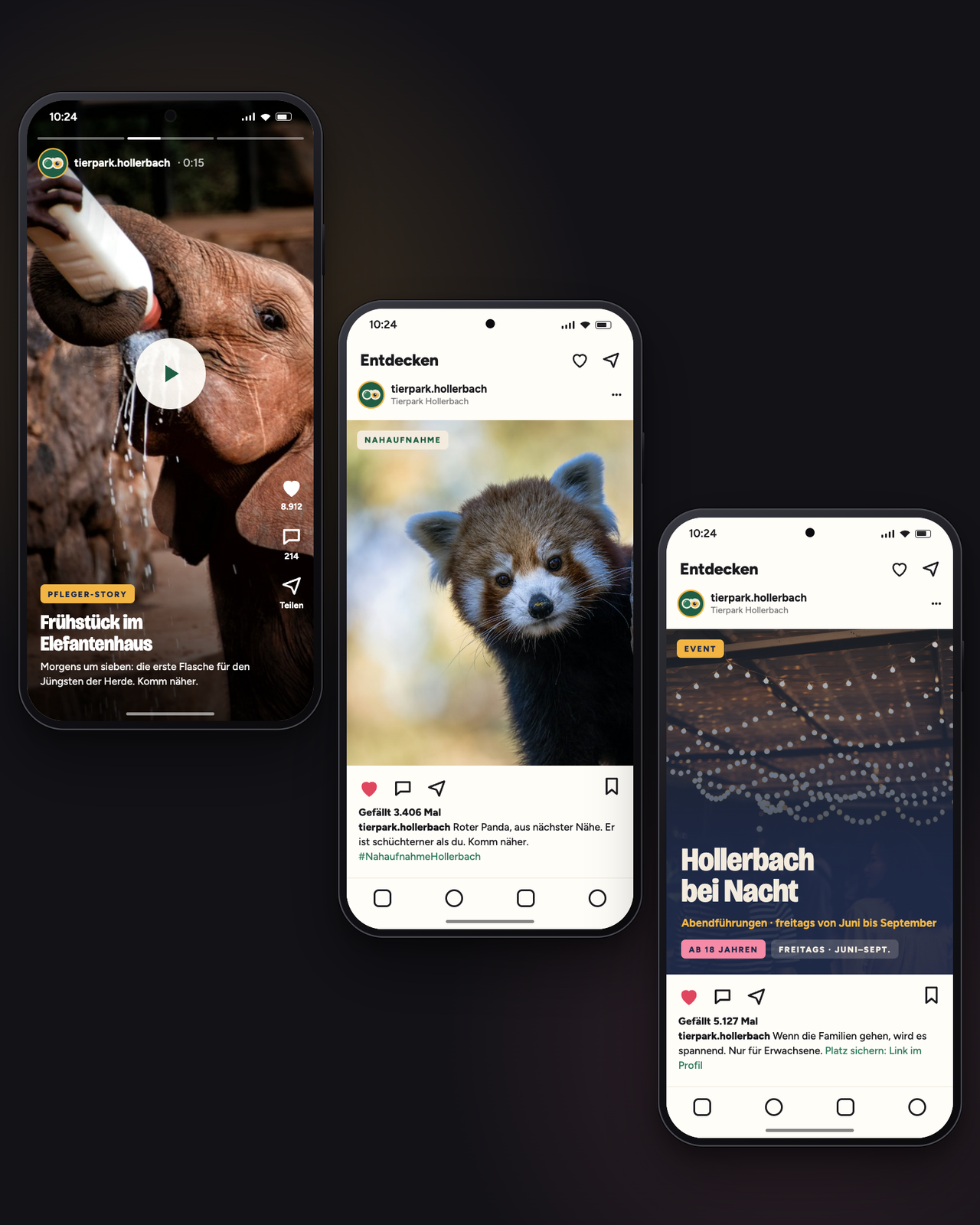 Hochformat: drei treppenartig versetzte Smartphones mit Social-Beiträgen des Tierparks Hollerbach – Pfleger-Story als Video mit Play-Symbol, Nahaufnahme Roter Panda und Event „Hollerbach bei Nacht“ (freitags, Juni bis September, ab 18 Jahren).