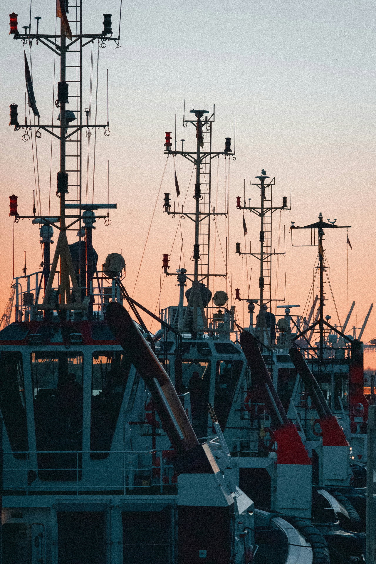 Masten von Hafenschiffen im Abendlicht