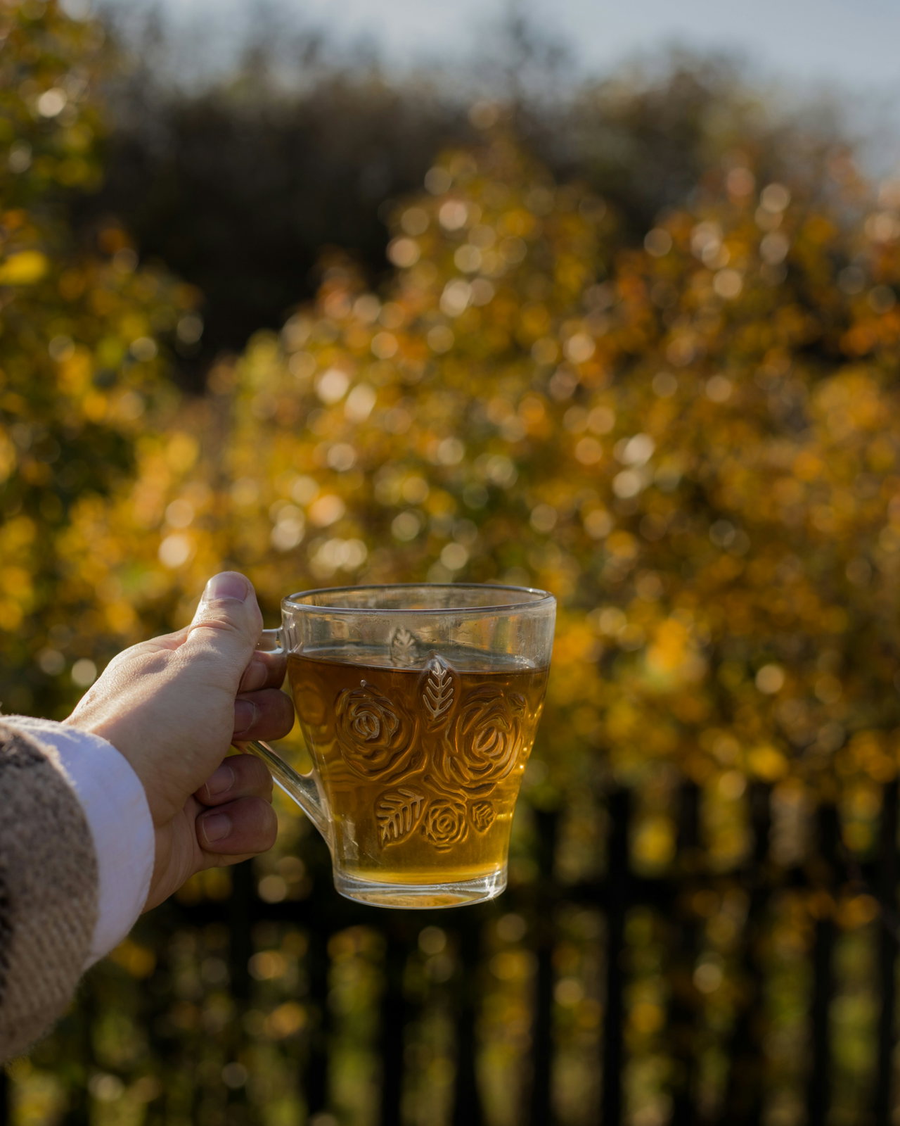 Hand hält ein Glas mit goldgelbem Apfelsaft vor herbstlich gefärbten Bäumen und einem Holzzaun