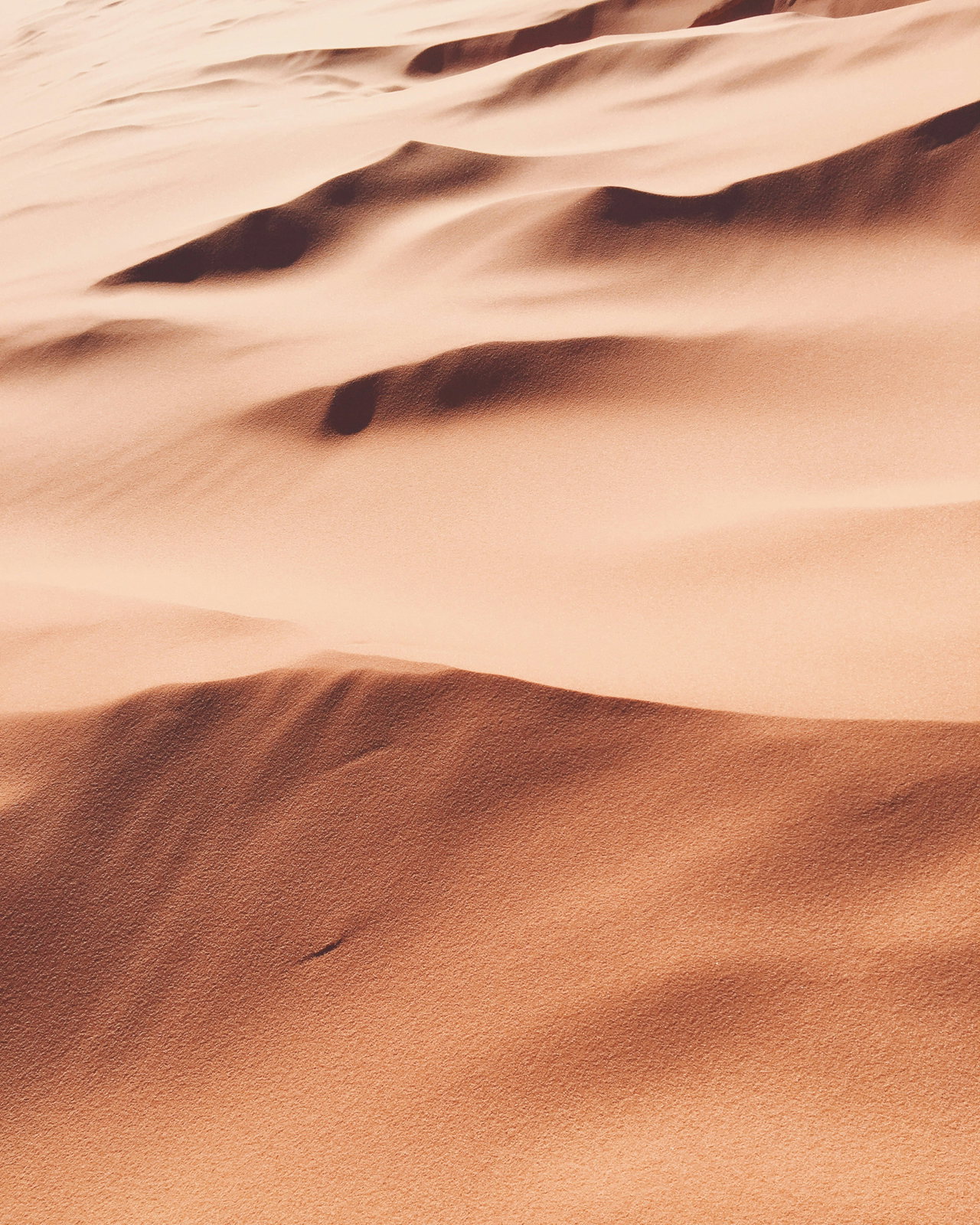 Geschwungene Sanddünen mit weichen Schatten