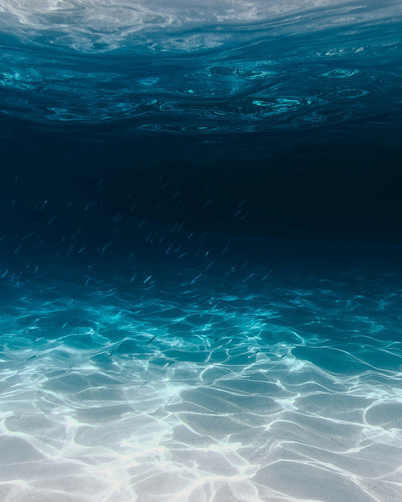 Unter Wasser: Sonnenlicht auf dem sandigen Meeresgrund