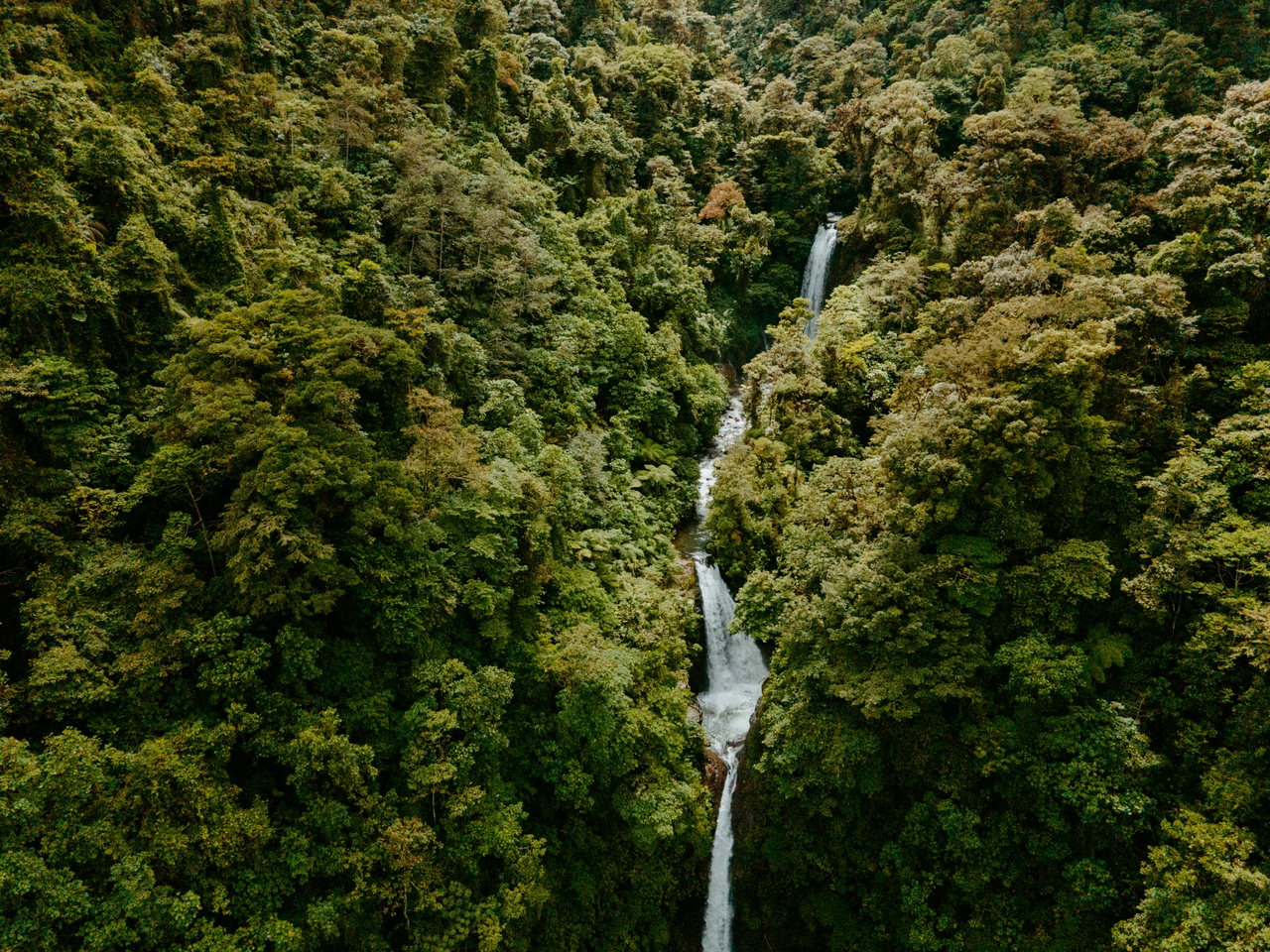 Wasserfall stürzt durch dichten Regenwald in Costa Rica, von oben