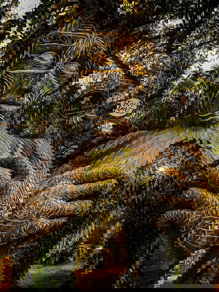 tulum-0BJN4vE-ITU-unsplash