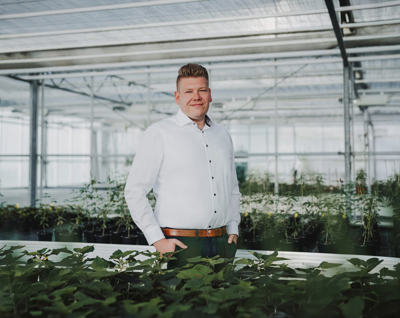 Mauke-Christian-gewächshaus-pflanzen