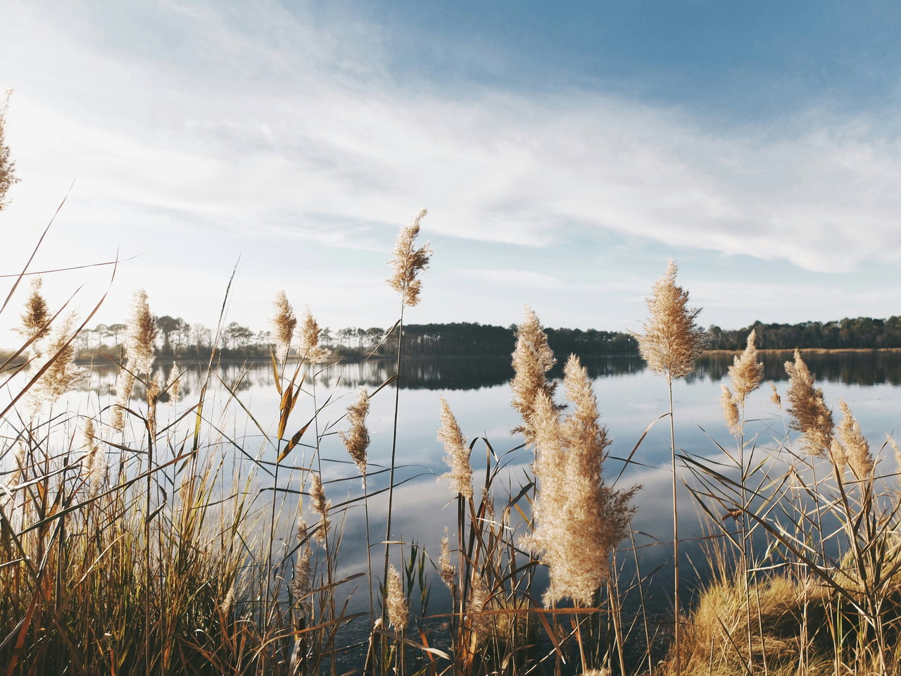 Badesee-unsplash