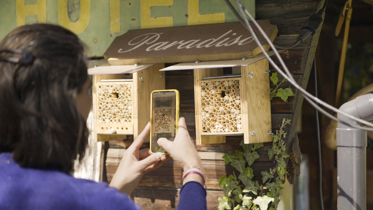 MyBeeHome-App-häuschen-wildbienen-nisthilfe