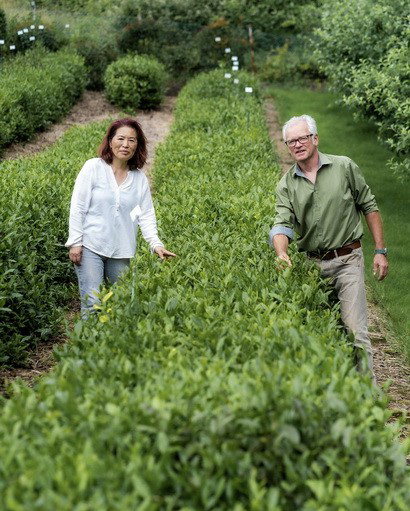 tschanara-teagardens-wolfgang-bucher-haengok-kim