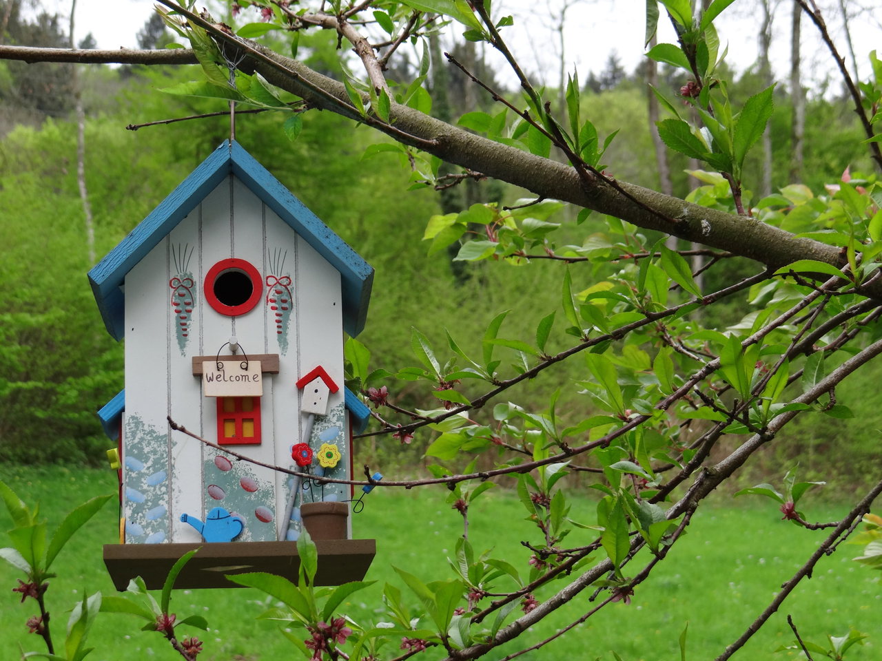 vogelhaus-nistkasten-grün-garten