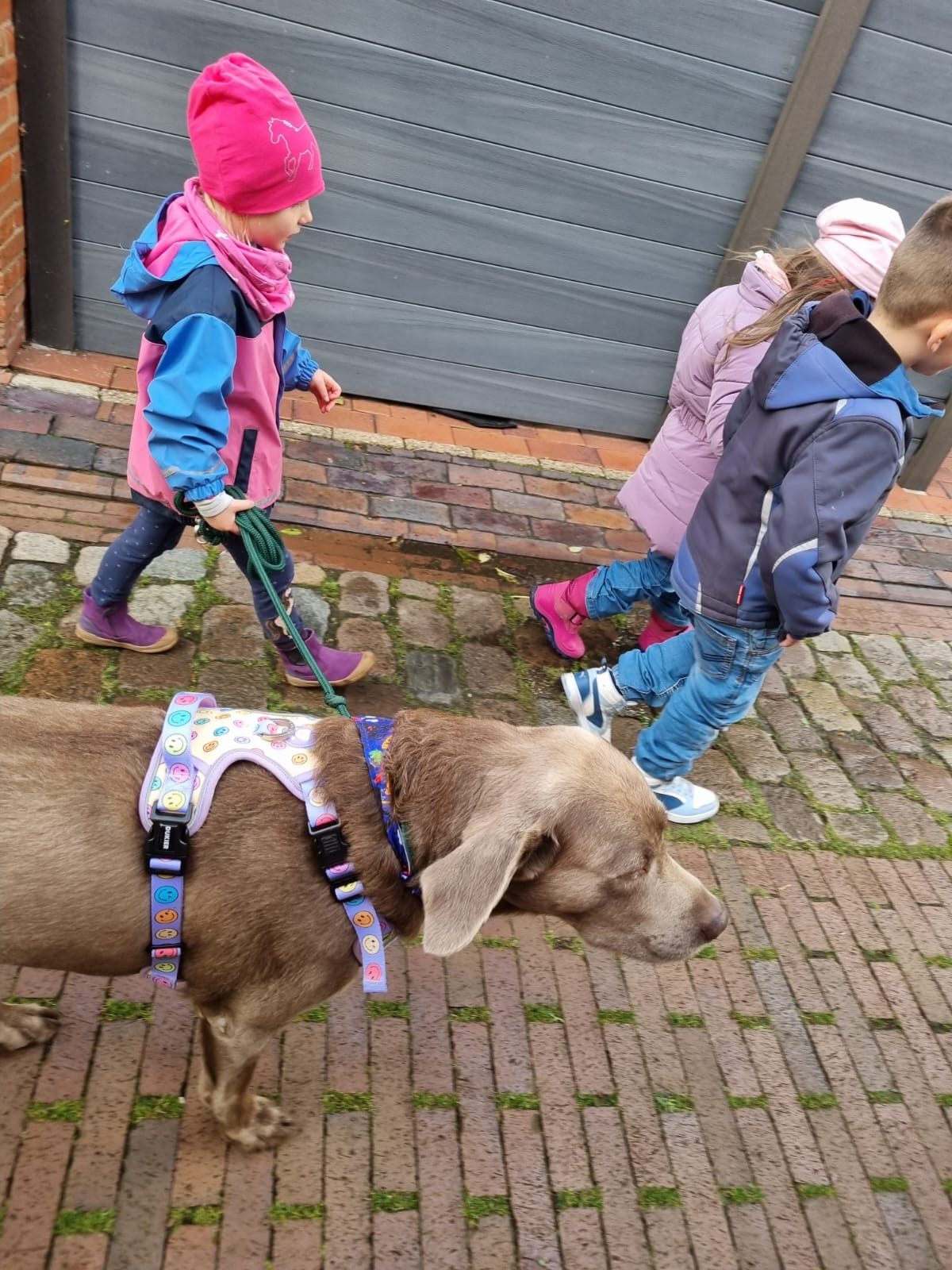 newscomer-kinder-und-tiergestuetzte-paedagogik