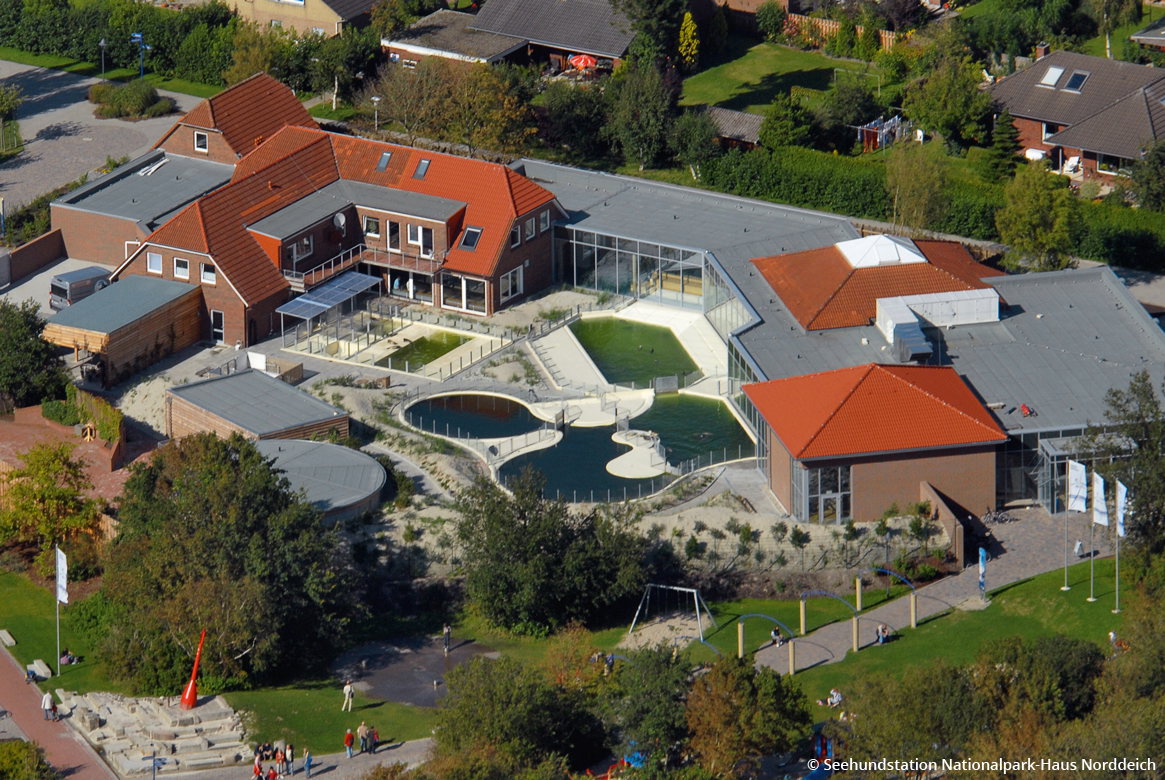 SeehundstationNationalpark-Haus-Luftaufnahme