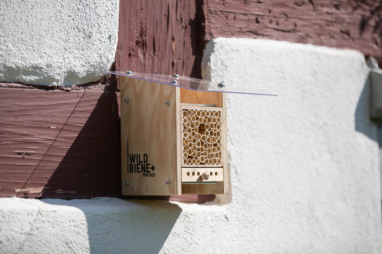 BeeHome-Classic-Widbienen-Häuschen-hauswand