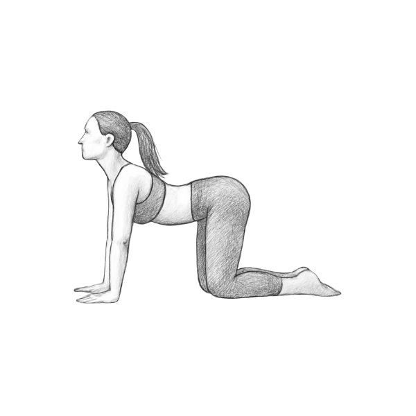 Eine Frau praktiziert die Yoga-Pose Vierfüßlerstand.