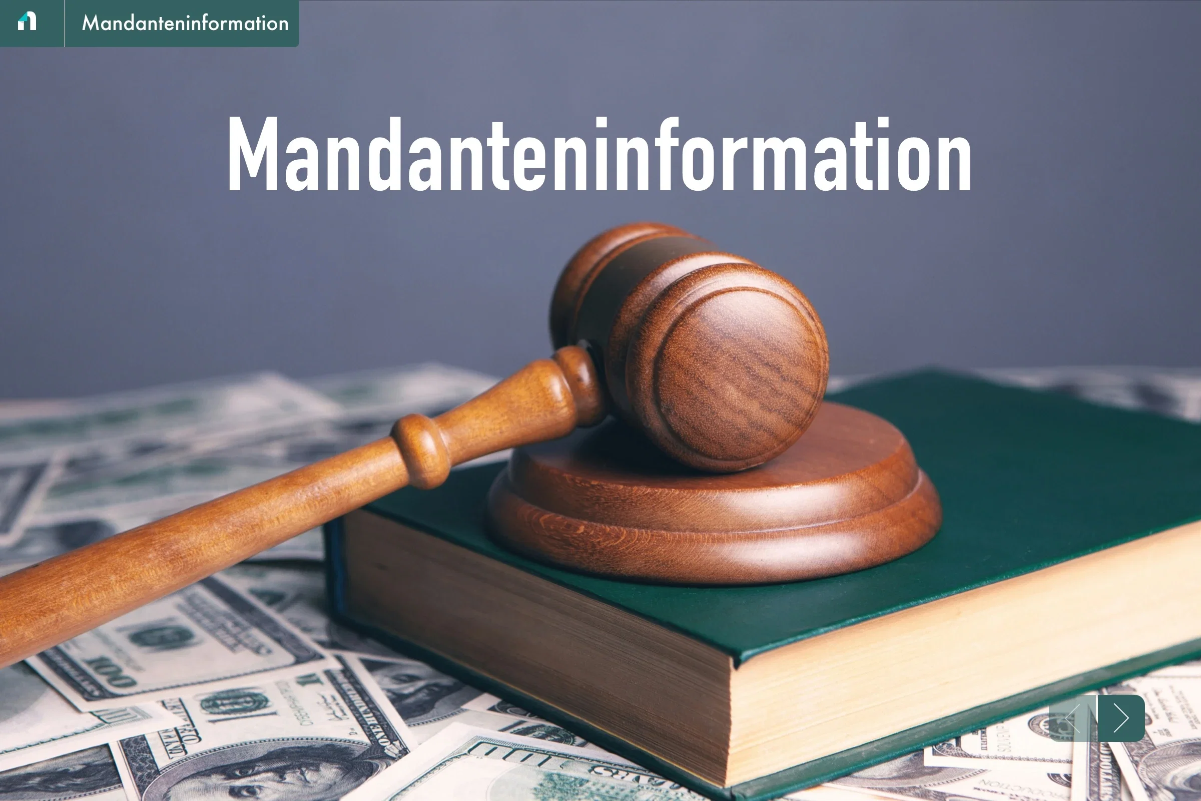 Novamag Digital client information 