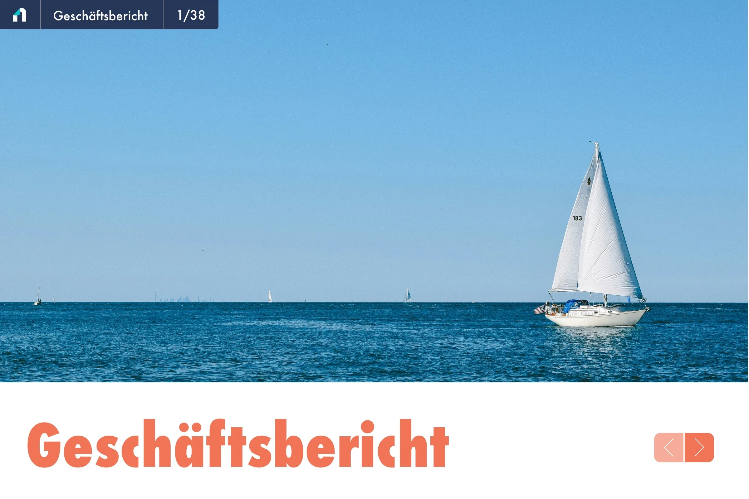 Geschäftsbericht