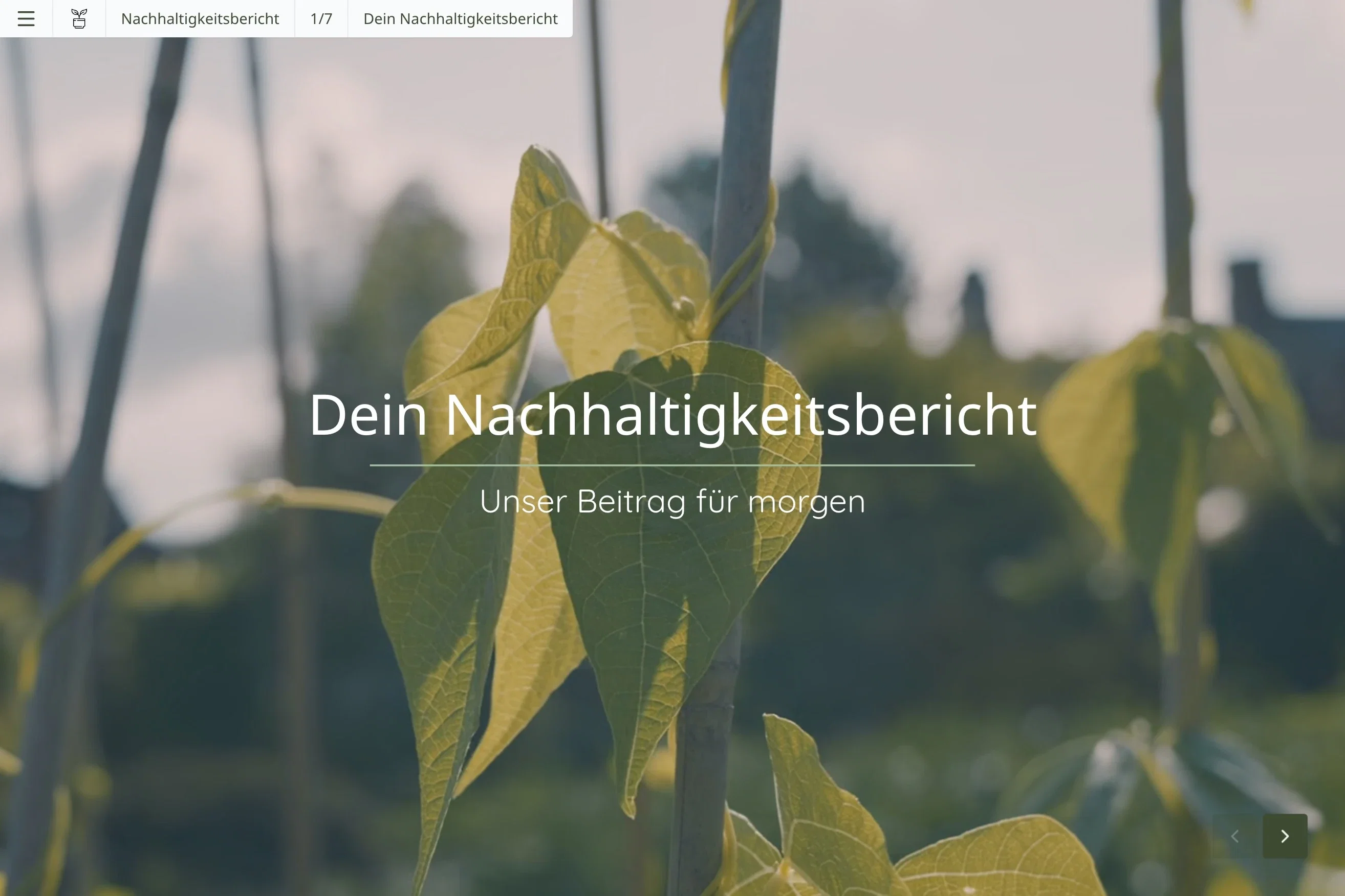 Startseite vom digitalen Nachhaltigkeitsbericht
