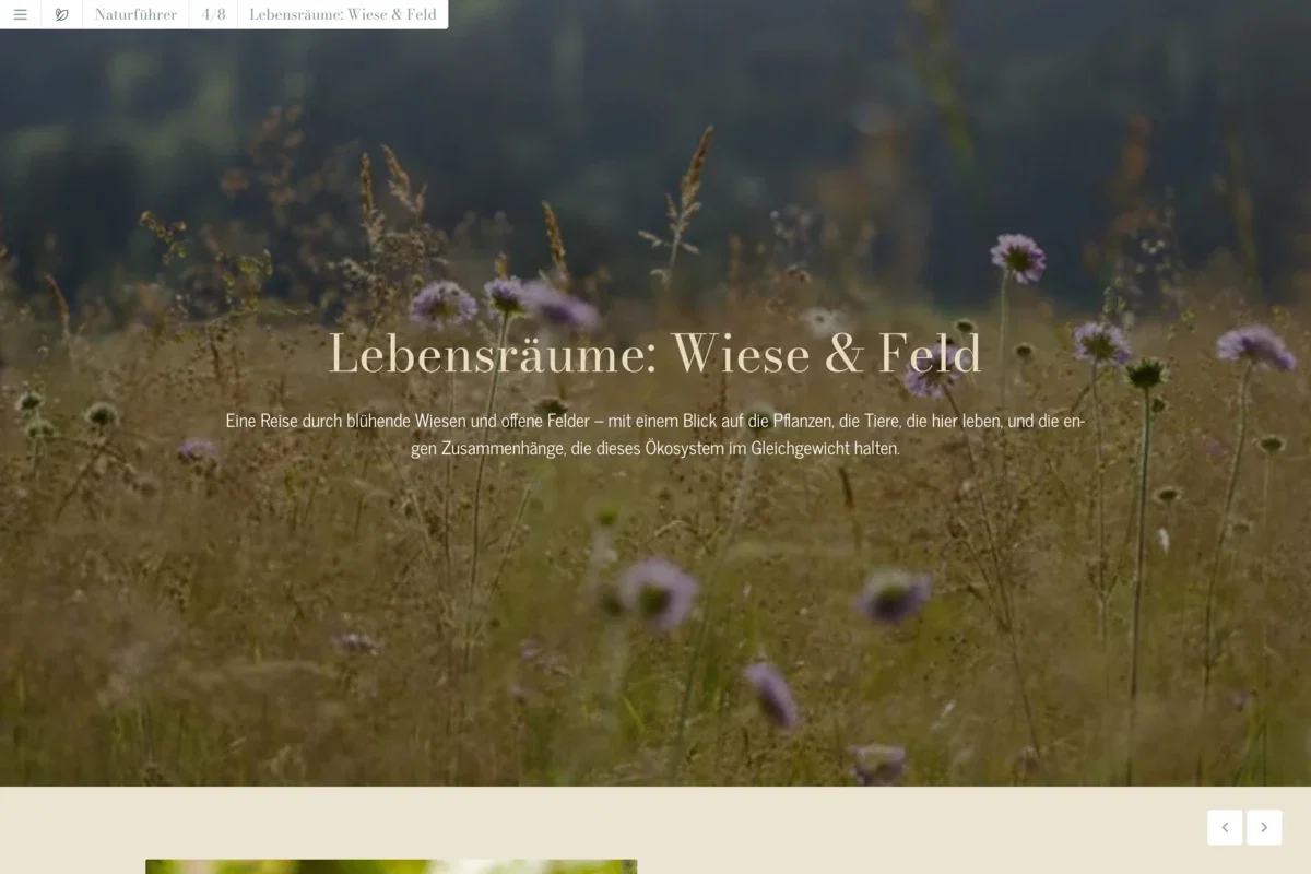 Naturführer Lebensräume: Wiese & Feld Naturführer Lebensräume: Wiese & Feld