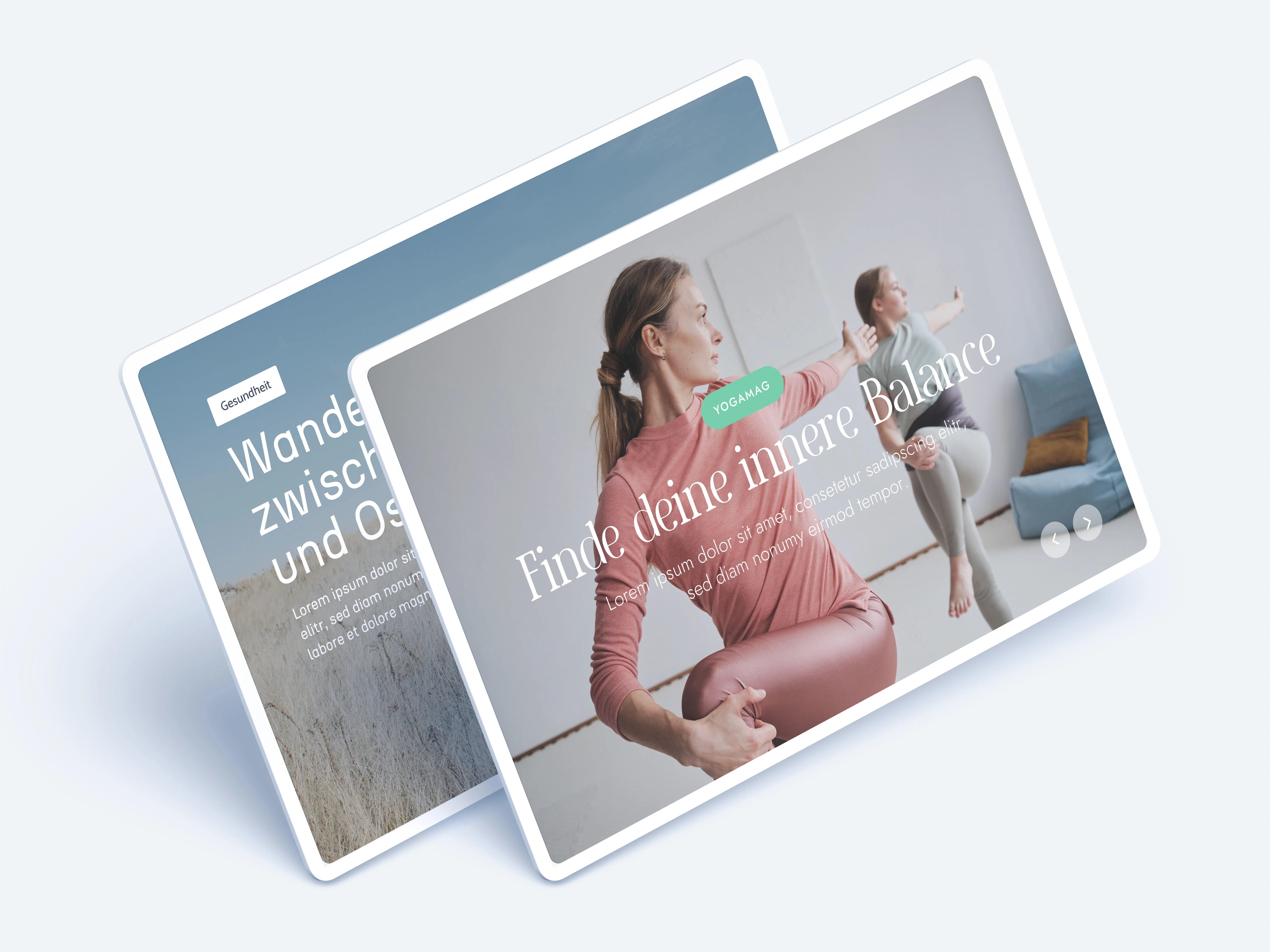 Novamag Service