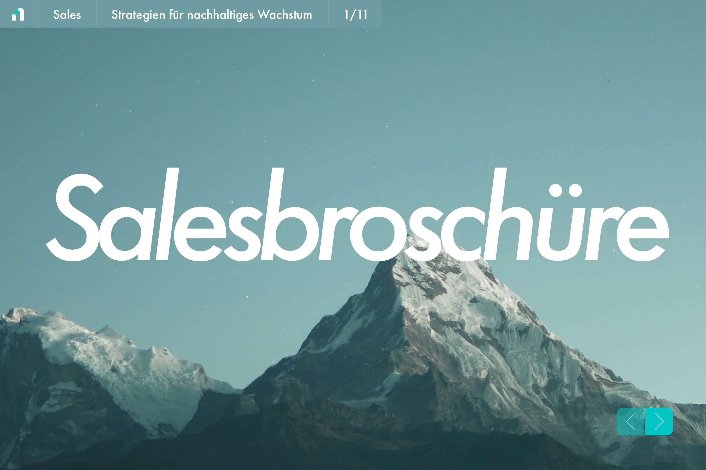 Salesbroschüre
