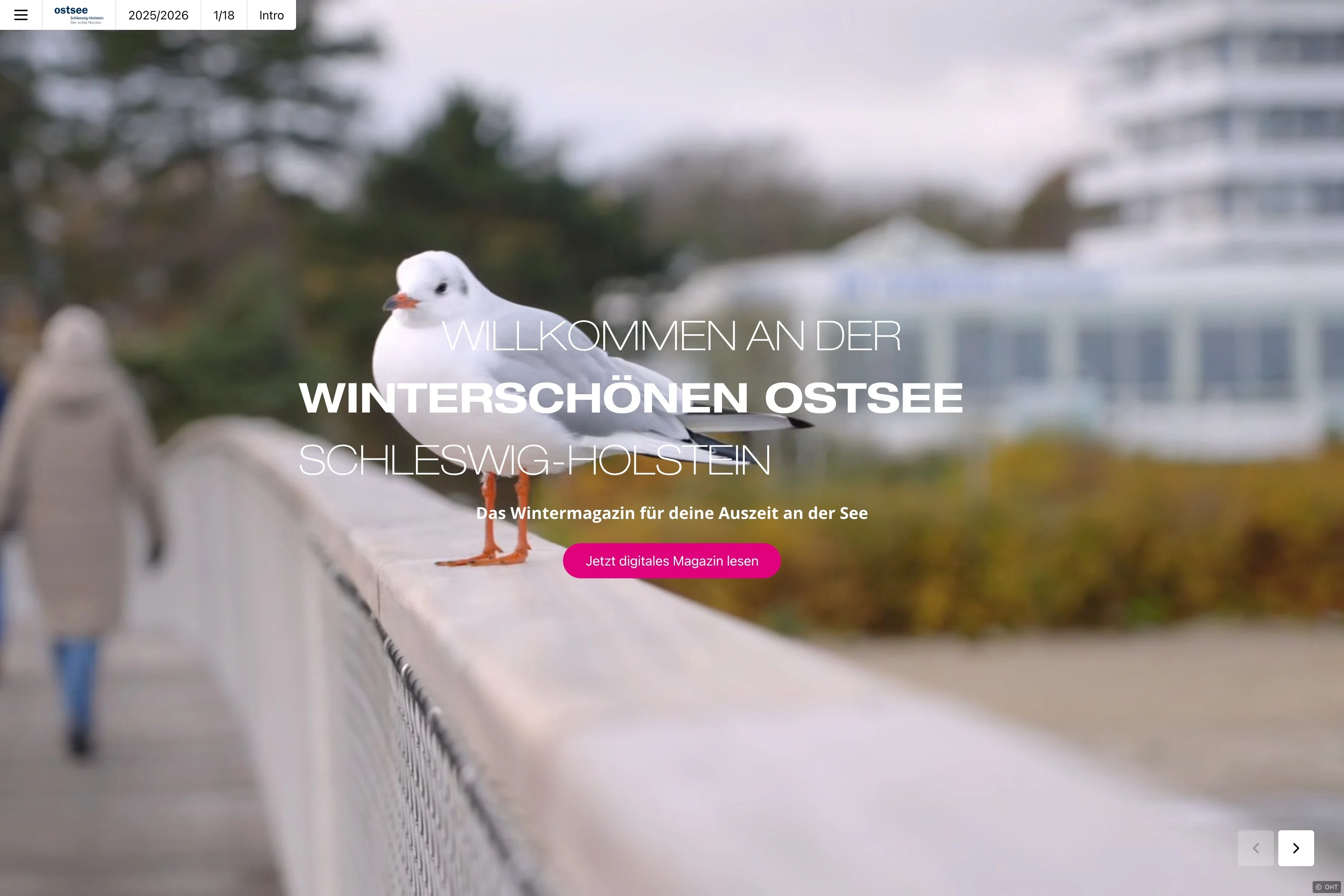 Winterschöne Ostsee